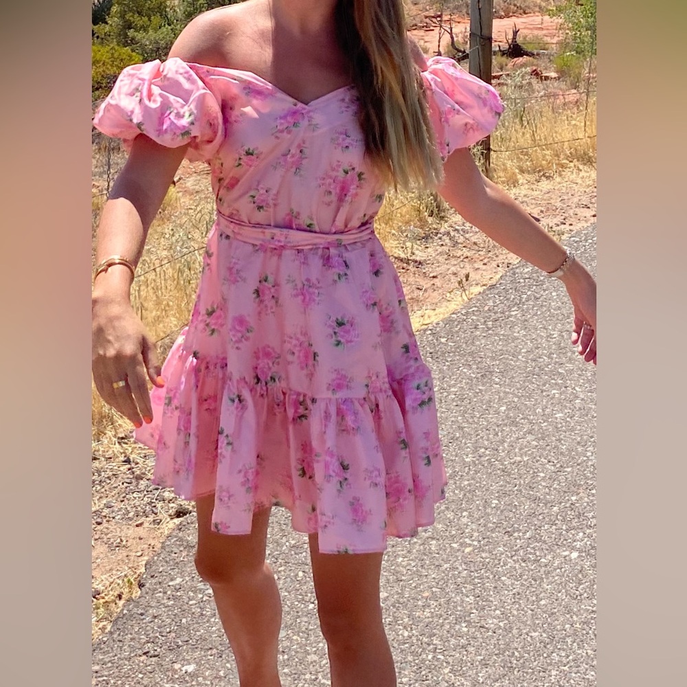 LoveShackFancy X Target Pink Rose 🌹 Floral Puff Sleeve Dress 👗